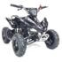 50cc - XTL Mini Quad