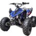 125cc - Stingray Quad Bike - Blue