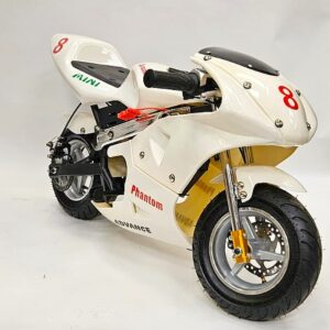 350W 24Volt Electric Mini Moto Racing Bike