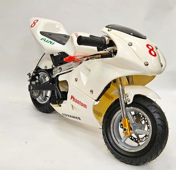 350W 24Volt Electric Mini Moto Racing Bike – Aria Bikes