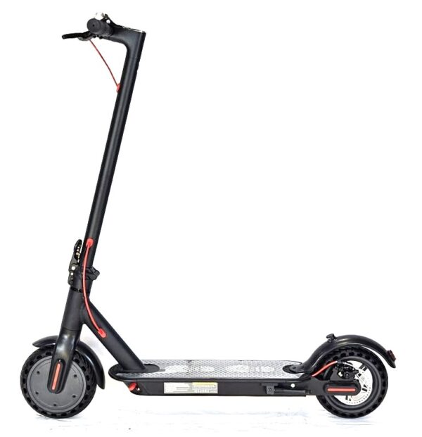 350w Electric Scooter